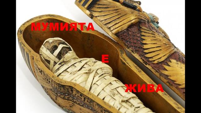 Мумията е жива - Екскурзия в Египет (1993)