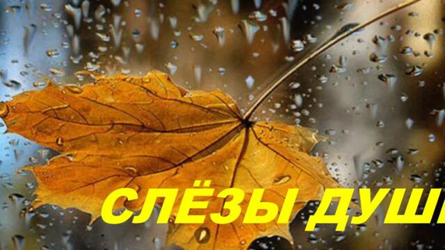 Анатолий Кулагин  -  СЛЁЗЫ ДУШИ