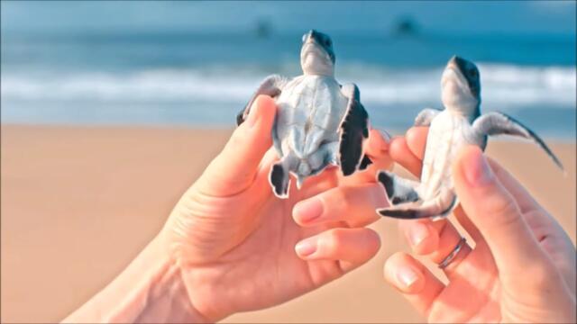 САМАЯ Шикарная Музыка Для Приятных Воспоминаний !!! Слушать одно удовольствие!