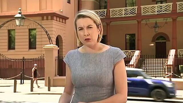 NSW Transport Minister to quit state politics and run at federal election