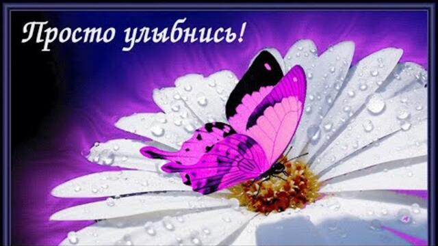 УЛЫБНИСЬ😆 ДОБРЫЙ ВЕЧЕР/ Сергей Чекалин