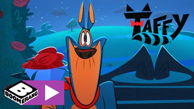 Таффи | Тайный поклонник Бентли | Boomerang