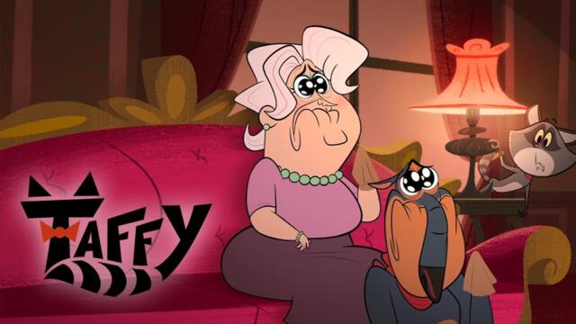 Taffy 🐱 | Taffy loves TV so much!