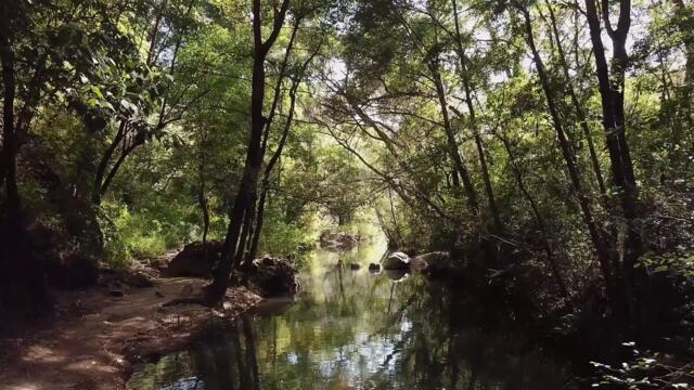 Relaxing Music to Earn Money - Relieve Stress Encourager can for Sleep Special Edition