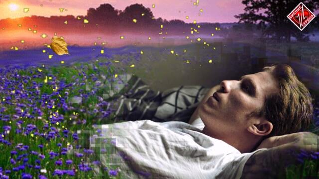 Эдуард Хуснутдинов  -  Поле с васильками