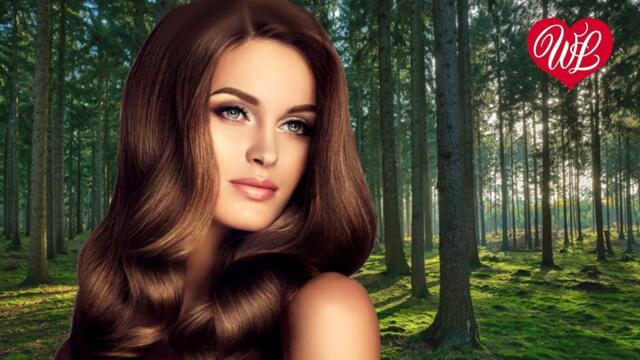 Виктор Петлюра   -   САМОВОЛКА