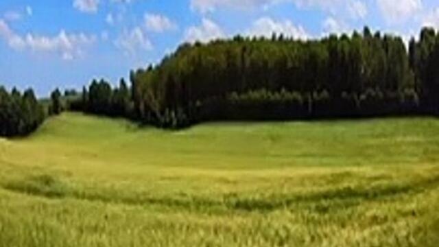 Short Videos Relaxing Music to Earn Money