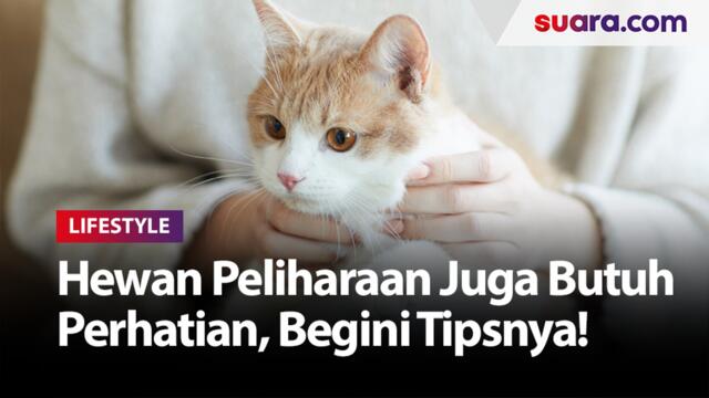 Hewan Peliharaan Juga Butuh Perhatian, Begini Tipsnya!