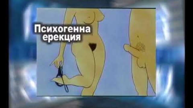 bTV   Еректилните дисфункции