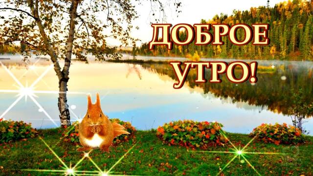 Доброе утро! Желаю вам доброго утра осеннего! А настроенья, конечно весеннего! 🌞🍂