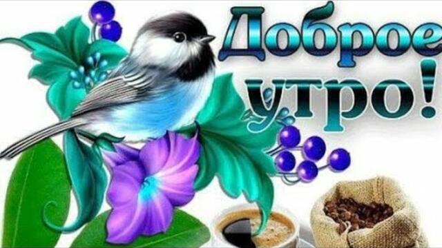 ПОЗИТИВЧИК С УТРА ☕🍰🌼Михаил Бандоровский   -    Ценим Жизнь.