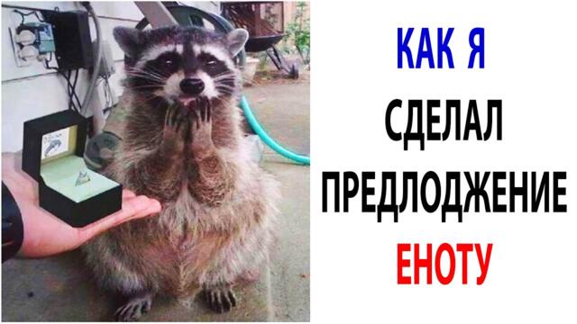 Мемчики и Приколы с Животными 2021  Смешные Мемы с Котами за 14 Октября #shorts