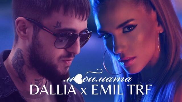 DALLIA x EMIL TRF -  ЛЮБИМАТА (OFFICIAL 4K VIDEO)