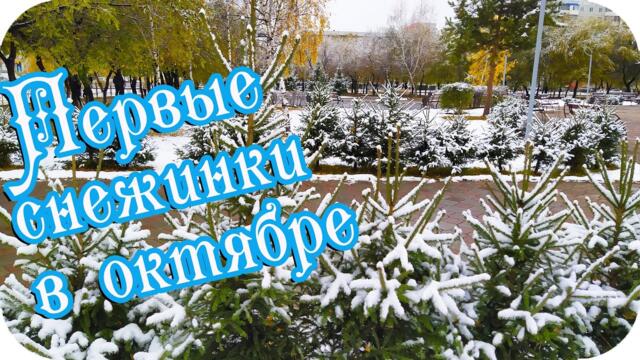 Какое это наслажденье...❤️Первые снежинки в октябре ❤️Теплой и снежной зимы желаю!❤️