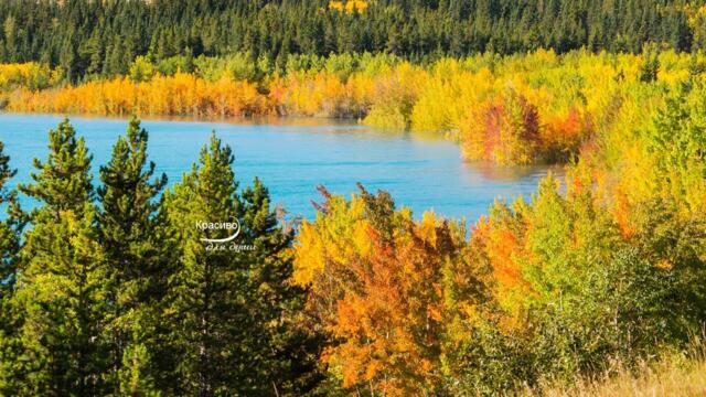 Осень, влюбленная в грусть... Это Потрясающая, Невероятно Красивая музыка для души, Божественная...
