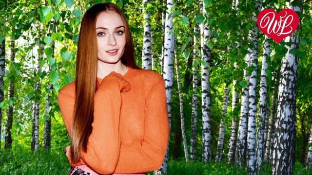 Харламов Владимир  -  БЕЛАЯ БЕРЕЗА