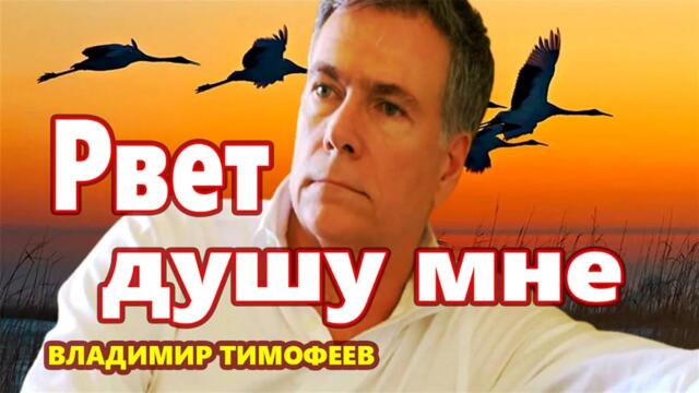 ВЛАДИМИР ТИМОФЕЕВ   -  ЖУРАВЛИ