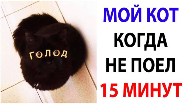 Мемы и Приколы с Котами 2021 года. Подборка смешные мемчики про котов за 18 Октября #shorts