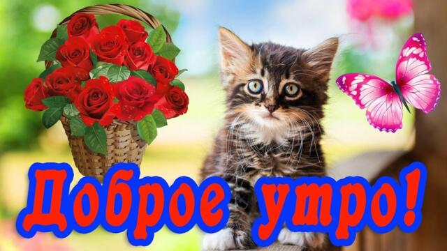 С ДОБРЫМ УТРОМ🍰☕💝 Приятного настроения