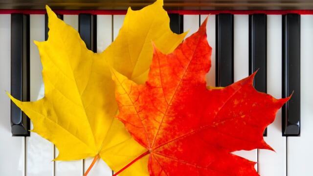 Красивейшая музыка !!! Закрыть глаза… и падать в Осень… и полюбить сезон дождей!