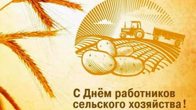 Праздничный концерт ко Дню сельского хозяйства.