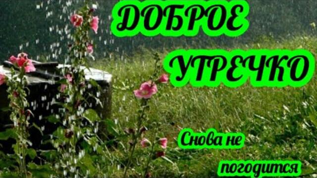 🎀ДОБРОЕ УТРО , МОИ ДОРОГИЕ🍰☕ Снова не погодится, но скучать не будем🍂🍁