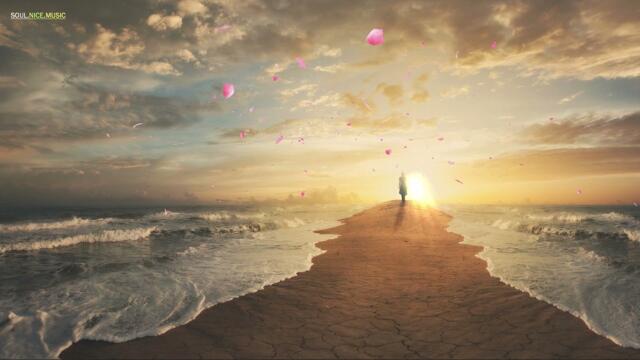 Relaxing Piano Music - 3 Hours Healing Soft Music, Stress Relief Music, Calming Piano