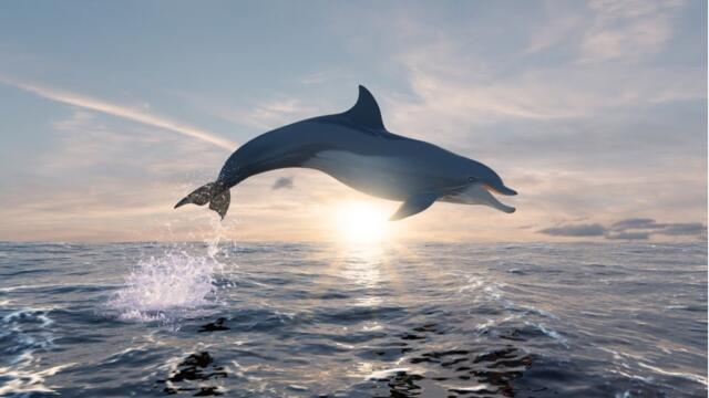 Саксофон Для ДУШИ!