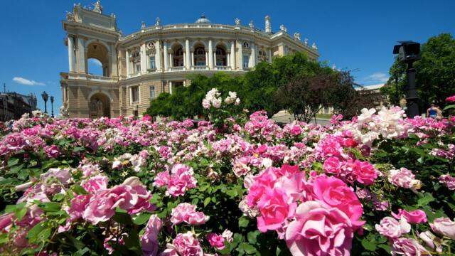 ОЛЬГА ГРОГАН  -  АХ, ОДЕССА...