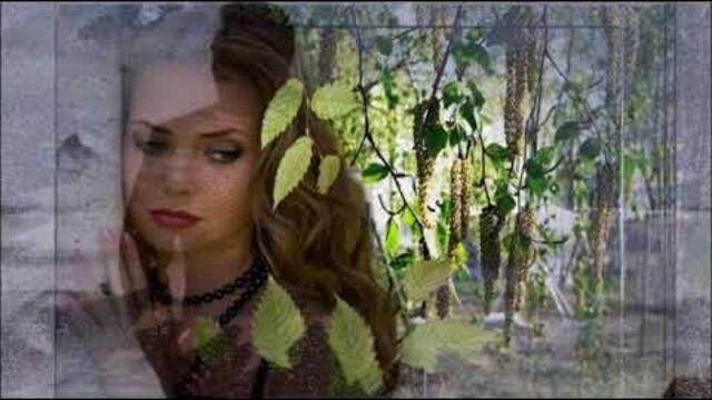 NELCON   -   ОСЕНЬ