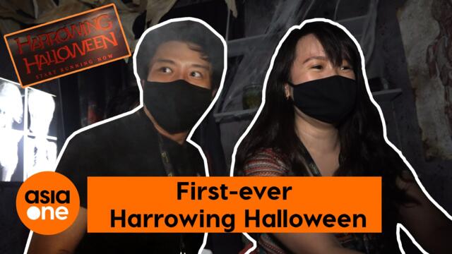 No FOMO: Have a spooky time at SDC’s Harrowing Halloween