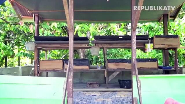 Prajurit TNI Latih Masyarakat Beternak Ulat Magot