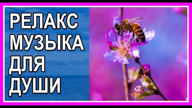 Красивое видео  и успокаивающая музыка Сергея Грищука для отдыха и настроения! Релакс!