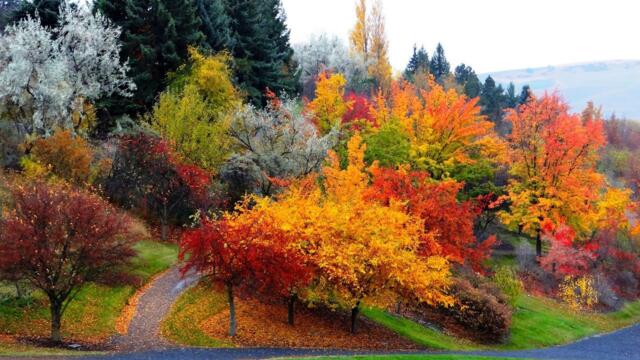 Игорь Шипков   -   Небо пополам