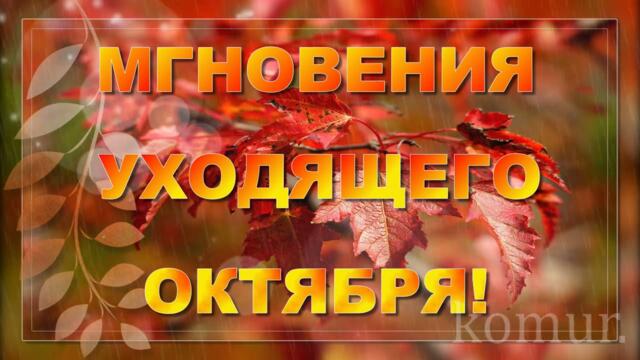 МГНОВЕНИЯ УХОДЯЩЕГО ОКТЯБРЯ! Музыкальная открытка