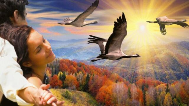 Обалденно красивые песня и танец!!!  БЕЛЫЕ ЛЕБЕДИ Сергей Одинцов