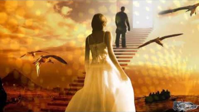 Сергей Чекалин  -  Полет ангела