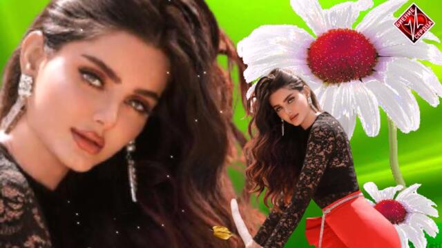 Дана Лахова - Я подожду другого