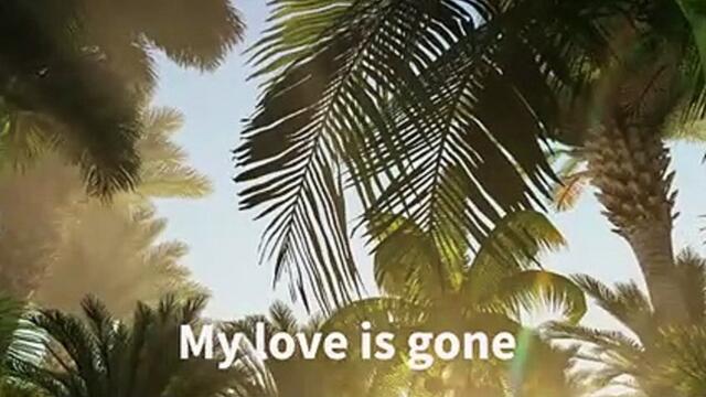 Whales & Jo Cohen - Love Is Gone [NCS Lyrics]