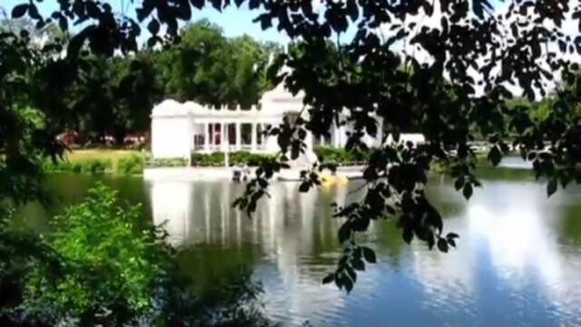 Аверьянов Сергей   -   В Парке летом