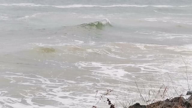 Андрей Обидин - Нежное обаяние любви...