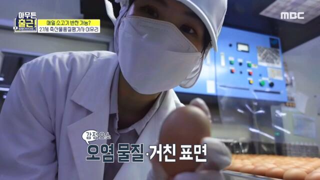 [HOT] Yuri, a livestock product quality evaluator, 아무튼 출근! 211109