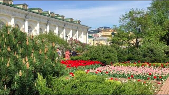 Шикарная МУЗЫКА и Майское Цветение Александровского Сада!