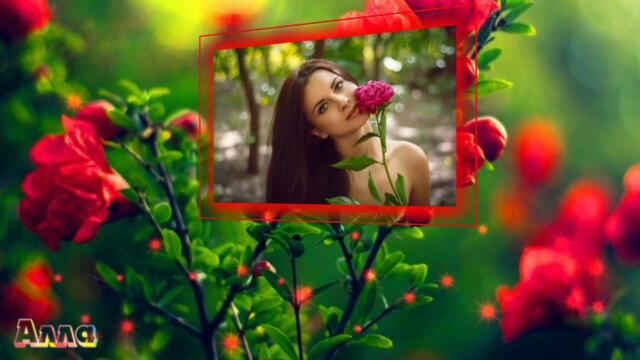 АМИРИНА   -    РОЗА АЛАЯ !