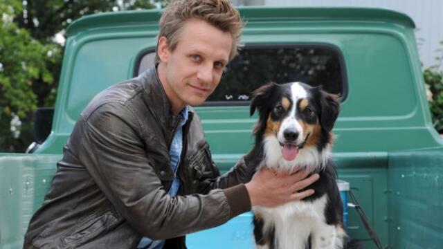 Мечтание (синхронен екип, дублаж по Диема Фемили на 07.09.2014 г.) (запис)