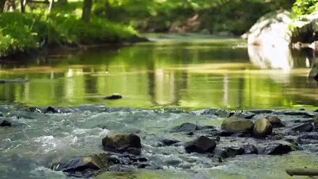 Relaxing music reading丨Relief stress丨Healing丨Light music