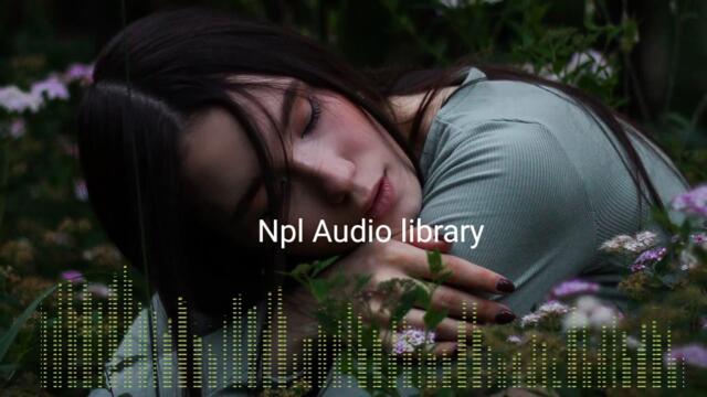 Relaxing Music  Non Copyright music