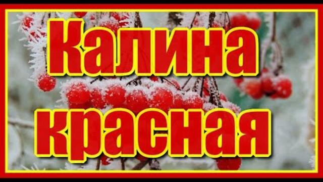 "Калина красная"