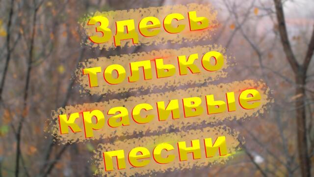 Сергей Одинцов/  Всем ОТЛИЧНОГО НАСТРОЕНИЯ НА ЦЕЛЫЙ ДЕНЬ.