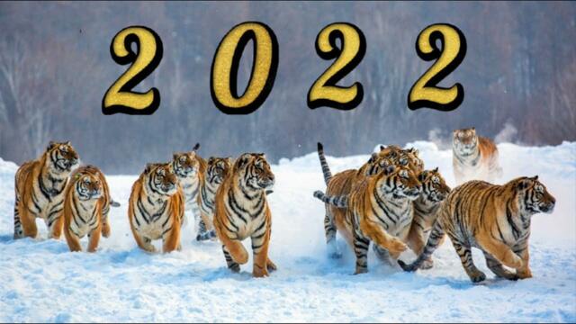 Скоро Новый 2022 Год . Пусть будут все здоровы!